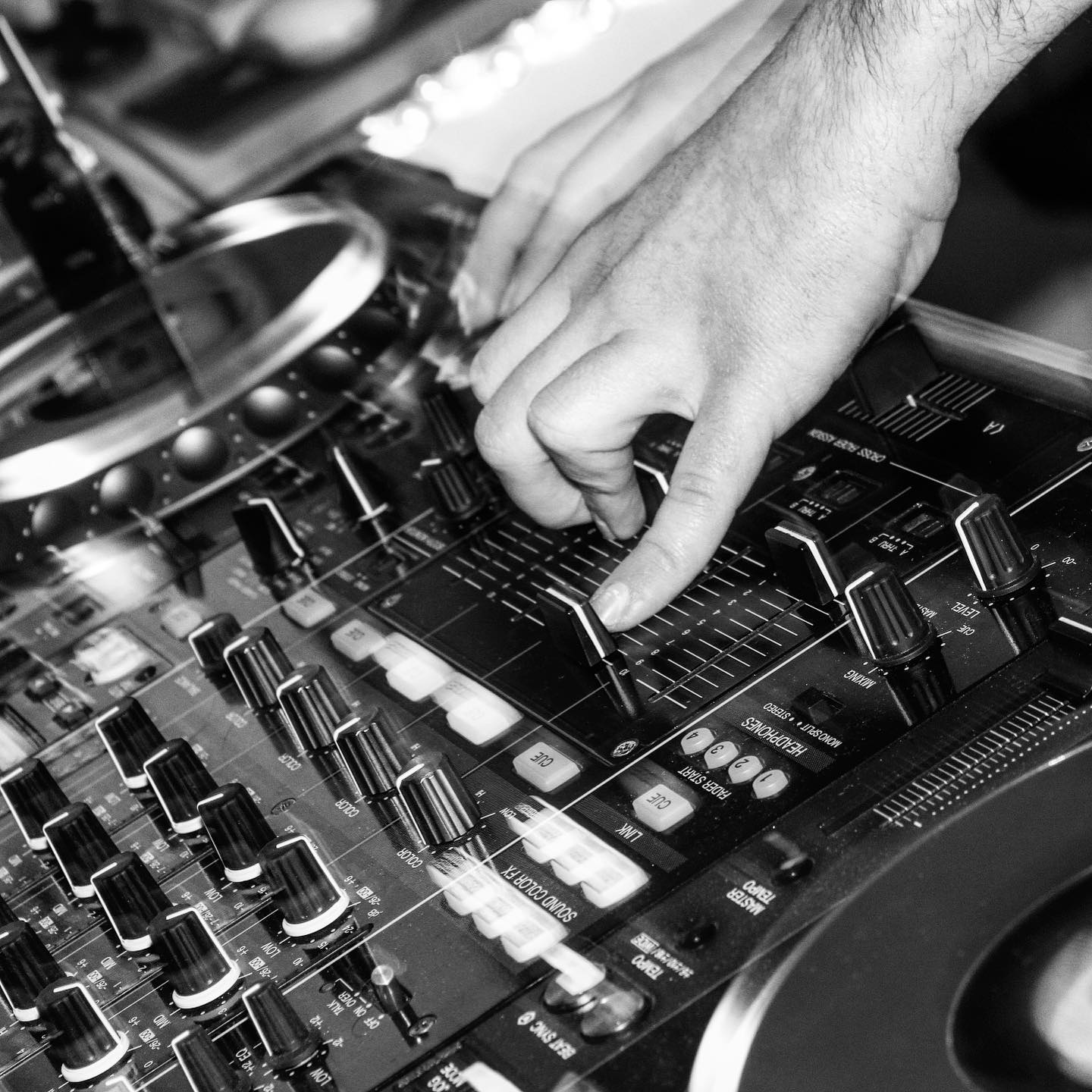 8-Darioz.jpg (248 KB)